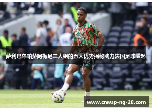 萨利巴乌帕楚阿梅尼三人组的五大优势揭秘助力法国足球崛起