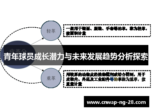 青年球员成长潜力与未来发展趋势分析探索
