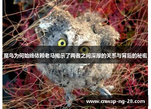 魔鸟为何始终依赖老马揭示了两者之间深厚的关系与背后的秘密