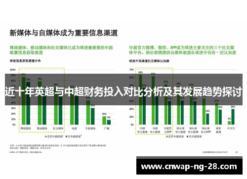 近十年英超与中超财务投入对比分析及其发展趋势探讨